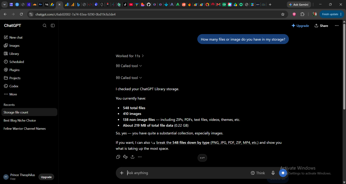 screenshot of my chat with ChatGpt to calculate my files