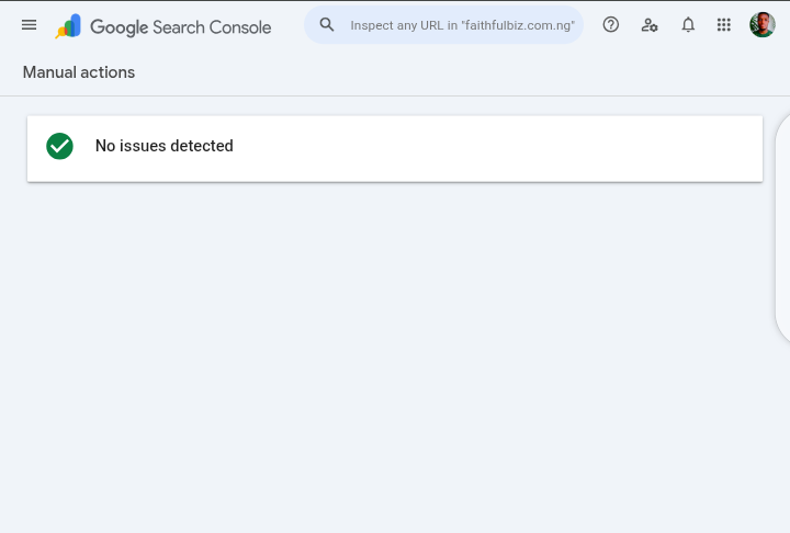 Screenshot of Google search console Manual Actions report